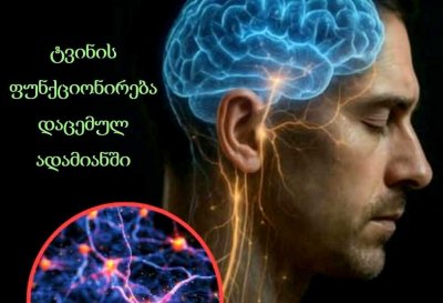 ტვინის ფუნქციონირება დაცემულ ადამიანში - დავით ჯინჭარაძე